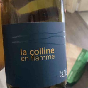 La Colline En Flamme - Domaine des Pothiers - Denise, Georges & Romain Paire 