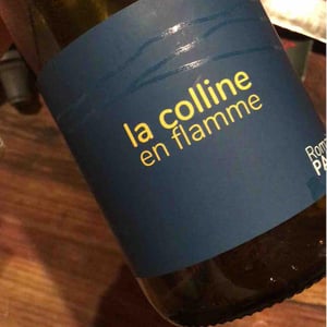 La Colline En Flamme - Domaine des Pothiers - Denise, Georges & Romain Paire 