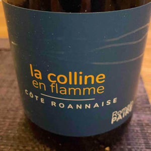 La Colline En Flamme - Domaine des Pothiers - denise-georges-romain-paire