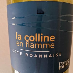 Domaine des Pothiers - Denise, Georges & Romain Paire - La Colline En Flamme