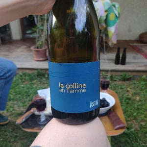 La Colline En Flamme - Domaine des Pothiers - denise-georges-romain-paire