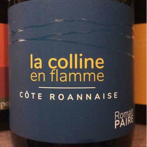 La Colline En Flamme - Domaine des Pothiers - Denise, Georges & Romain Paire 