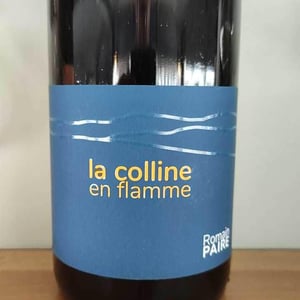La Colline En Flamme - Domaine des Pothiers - denise-georges-romain-paire