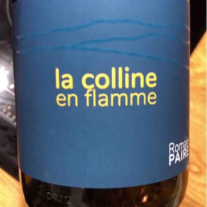 La Colline En Flamme - Domaine des Pothiers - denise-georges-romain-paire