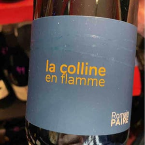 La Colline En Flamme - Domaine des Pothiers - Denise, Georges & Romain Paire 