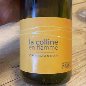 Domaine des Pothiers - Denise, Georges & Romain Paire - La Colline En Flamme
