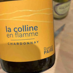 La Colline En Flamme - Domaine des Pothiers - Denise, Georges & Romain Paire 