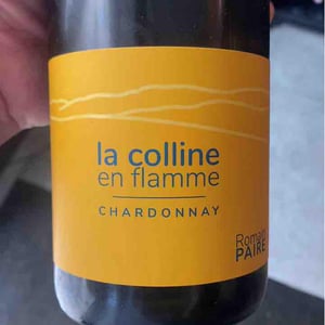Domaine des Pothiers - Denise, Georges & Romain Paire - La Colline En Flamme