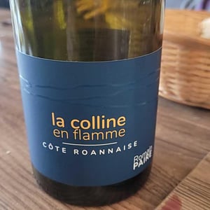 La Colline En Flamme - Domaine des Pothiers - Denise, Georges & Romain Paire 