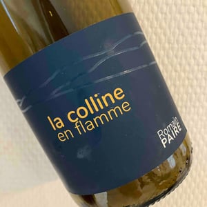 La Colline En Flamme - Domaine des Pothiers - denise-georges-romain-paire