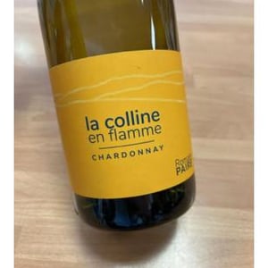 La Colline En Flamme - Domaine des Pothiers - denise-georges-romain-paire