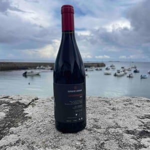 La Compagnon - Domaine Ledogar - xavier-mathieu-benoit-ledogar