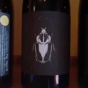La Compagnon - Domaine Ledogar - Xavier, Mathieu & Benoît Ledogar 