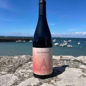 La Cordée - Domaine Les Alpins - sebastien-benard -2021