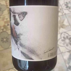 Cordeliere - Ad Vinum - Sébastien Chatillon -2021