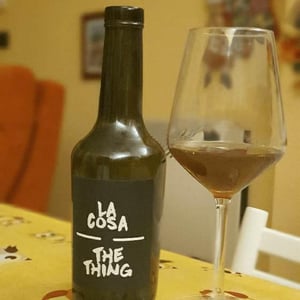 Bodegas y Viñedos Maestro Tejero - Alfredo Maestro Tejero - La Cosa