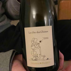La Cote Des Glaises - Champagne Lelarge Pugeot - famille-lelarge -2017