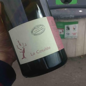 La Coulée - Benoît Courault - Benoît Courault 