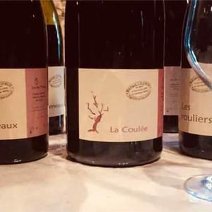 La Coulée - Benoît Courault - Benoît Courault 