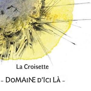 La Croisette Blanc - Domaine D'ici là - adrien-bariol