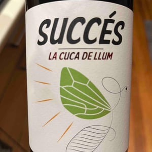 La Cuca de Llum 2020