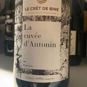 Cuvée D’Antonin - Domaine Du Crêt De Bine - geoffroy-subrin-florence-subrin-dodille