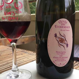 La Cuvée des Etourneaux - Les Cailloux du Paradis - Claude & Etienne Courtois 