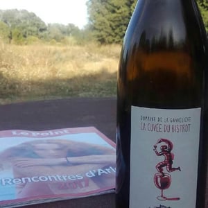 La Cuvée Du Bistrot - Domaine de la Garreliére - Pascale & François Plouzeau 