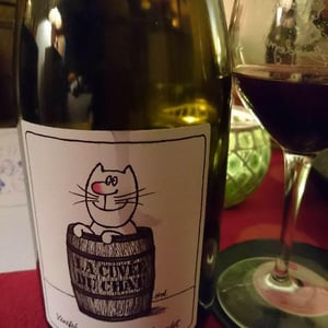 Domaine Chamonard - Jean-Claude, Jeanne & Geneviève Chanudet - La Cuvée du Chat