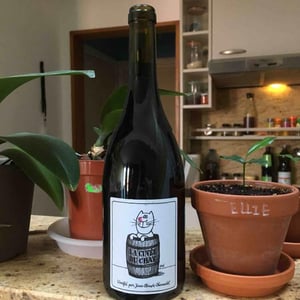 La Cuvée du Chat - Domaine Chamonard - Jean-Claude, Jeanne & Geneviève Chanudet 