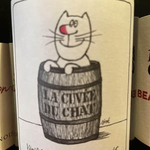 La Cuvée du Chat - Domaine Chamonard - jean-claude-jeanne-genevieve-chanudet