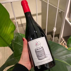 Domaine Chamonard - Jean-Claude, Jeanne & Geneviève Chanudet - La Cuvée du Chat