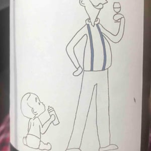 La Cuvée Du Minot (Safres Bleus) - Domaine du Minot - Axel Chambert 