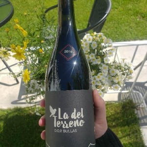 La Del Terreno - Bodega La del Terreno - julia-casado