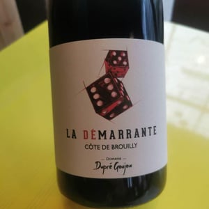 La Démarrant - Dupré Goujon - sebastien-dupre-guillaume-goujon