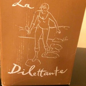 La Dilettante (rouge) - Domaine Breton - catherine-pierre-breton