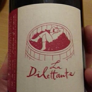 La Dilettante (rouge) - Domaine Breton - catherine-pierre-breton
