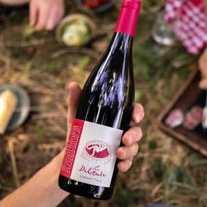 La Dilettante (rouge) - Domaine Breton - catherine-pierre-breton