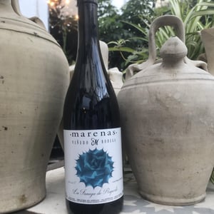 La Fanega De Ruperto - Marenas Viñedo y Bodega - jose-miguel-marquez-herrador