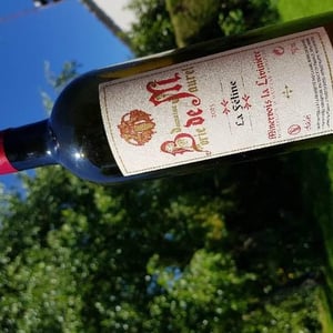 La Féline - La Liviniere - michel-escande