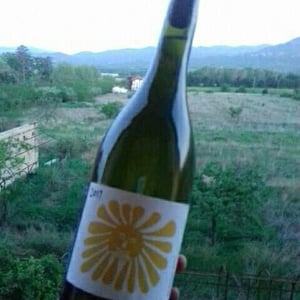 La Femme Soleil - Clos du Rouge Gorge - cyril-fhal