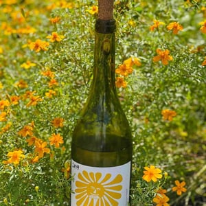 La Femme Soleil - Clos du Rouge Gorge - cyril-fhal