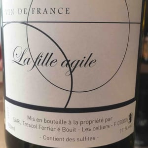 La Fille Agile - Trescol é Bouit - sandro-trescol-jonathan-bouit