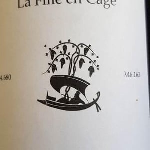 La Fille En Cage (X Vinibrato) - Jean-Marc Brignot / Vinibrato - Jean-Marc Brignot 