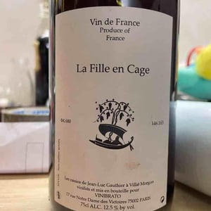 La Fille En Cage (X Vinibrato) - Jean-Marc Brignot / Vinibrato - Jean-Marc Brignot 