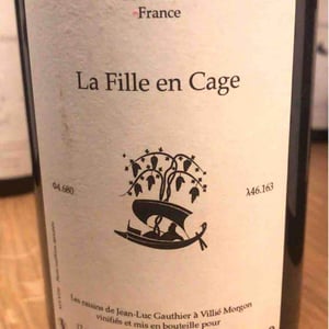 La Fille En Cage (X Vinibrato) - Jean-Marc Brignot / Vinibrato - Jean-Marc Brignot 