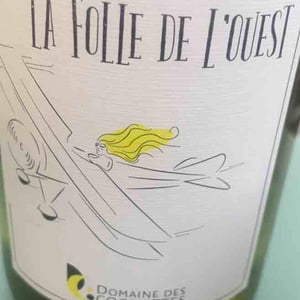 La Folle De L’ouest - Domaine Des Cognettes - stephane-vincent-perraud