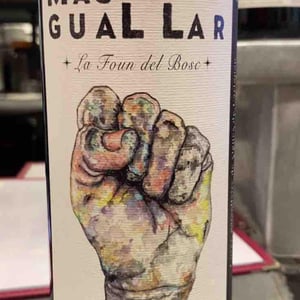 La Foun del Bosc - Mas guallar - Camila Opazo -2020