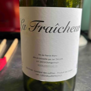 La Fraicheur - L’Arbre Viké - Jan Tailler -2023