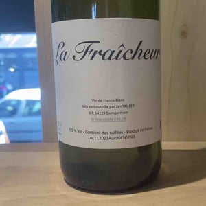 La Fraicheur - L’Arbre Viké - Jan Tailler -2023